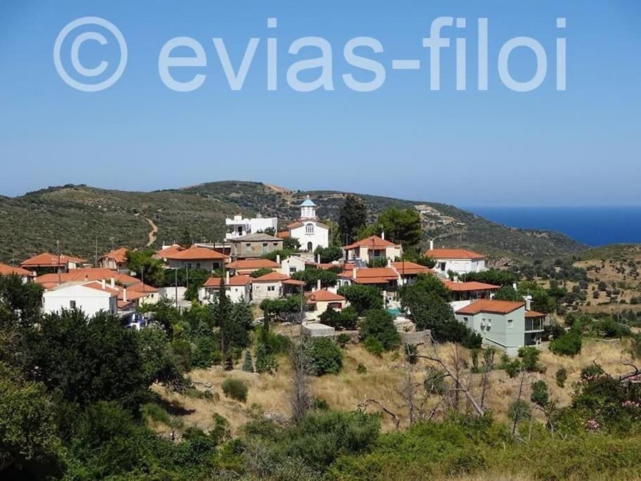 Παραθαλασσιο Σπιτι Στην Εξοχη Villa Tsakei Exterior photo