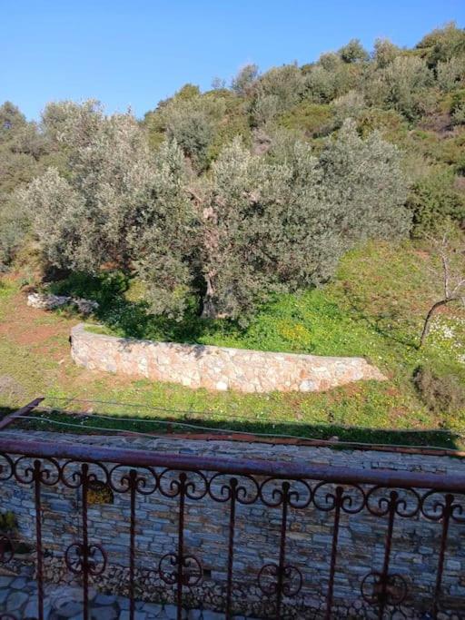 Παραθαλασσιο Σπιτι Στην Εξοχη Villa Tsakei Exterior photo